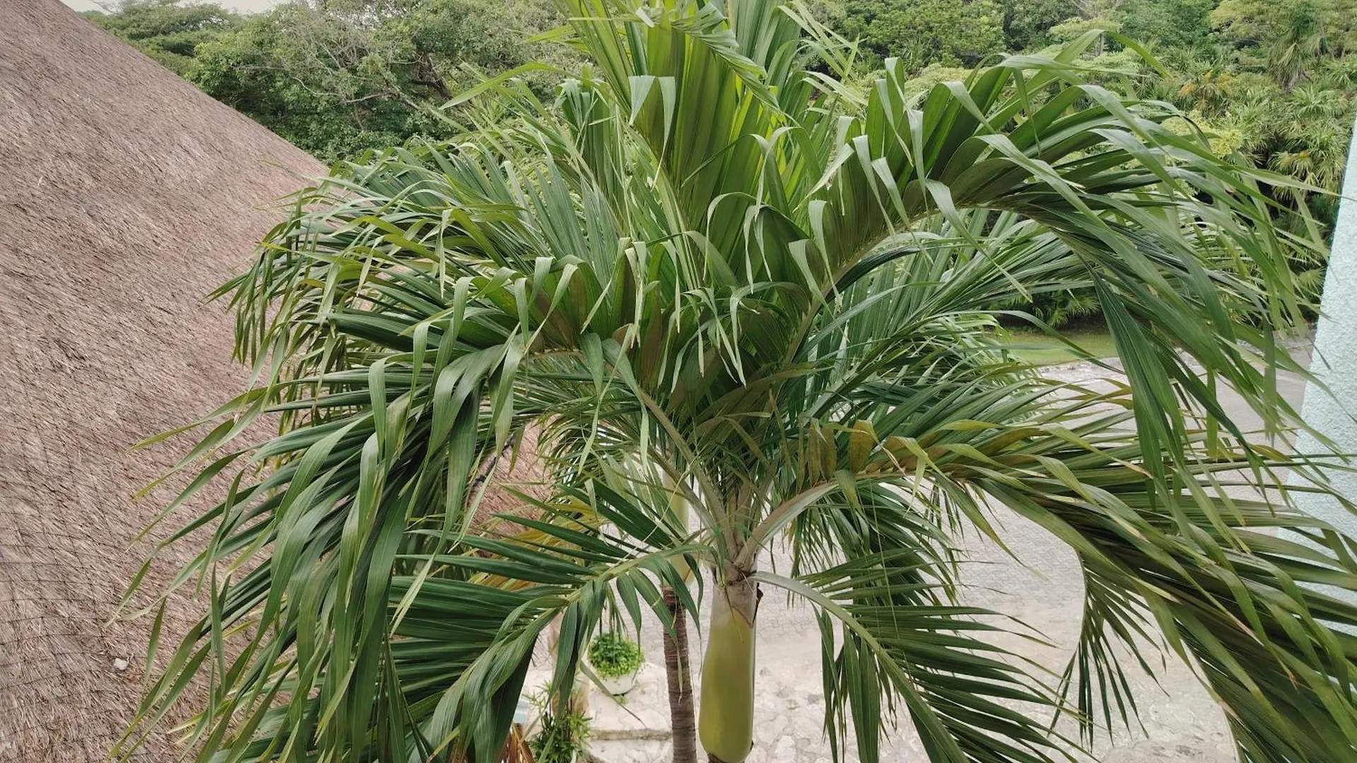 Sunset Fishermen Beach & Spa Resort 普拉亚卡门 墨西哥